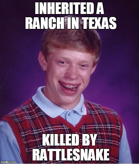 Bad Luck Brian Meme | INHERITED A RANCH IN TEXAS; KILLED BY RATTLESNAKE | image tagged in memes,bad luck brian | made w/ Imgflip meme maker
