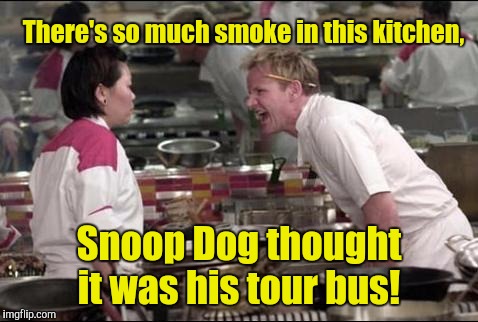 hells kitchen meme | There's so much smoke in this kitchen, Snoop Dog thought it was his tour bus! | image tagged in hells kitchen meme | made w/ Imgflip meme maker