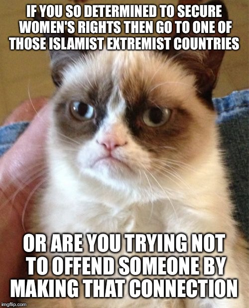 Grumpy Cat | IF YOU SO DETERMINED TO SECURE WOMEN'S RIGHTS THEN GO TO ONE OF THOSE ISLAMIST EXTREMIST COUNTRIES; OR ARE YOU TRYING NOT TO OFFEND SOMEONE BY MAKING THAT CONNECTION | image tagged in memes,grumpy cat | made w/ Imgflip meme maker