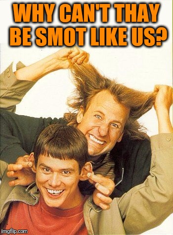 DUMB and dumber | WHY CAN'T THAY BE SMOT LIKE US? | image tagged in dumb and dumber | made w/ Imgflip meme maker