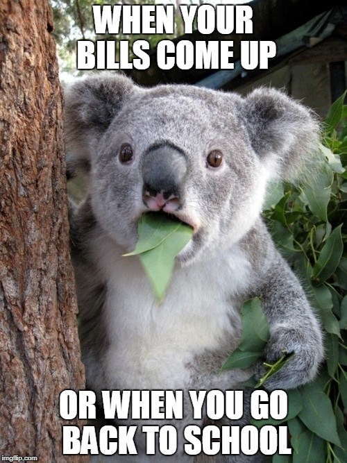 Surprised Koala | WHEN YOUR BILLS COME UP; OR WHEN YOU GO BACK TO SCHOOL | image tagged in memes,surprised coala | made w/ Imgflip meme maker