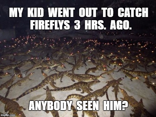 Offensive | MY  KID  WENT  OUT  TO  CATCH  FIREFLYS  3  HRS.  AGO. ANYBODY  SEEN  HIM? | image tagged in deal with it,meme | made w/ Imgflip meme maker