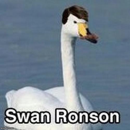 Swan Ronson  | image tagged in ron swanson | made w/ Imgflip meme maker