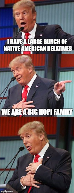 native american relatives | I HAVE A LARGE BUNCH OF NATIVE AMERICAN RELATIVES; WE ARE A BIG HOPI FAMILY | image tagged in bad pun trump,trump,native american,funny memes | made w/ Imgflip meme maker