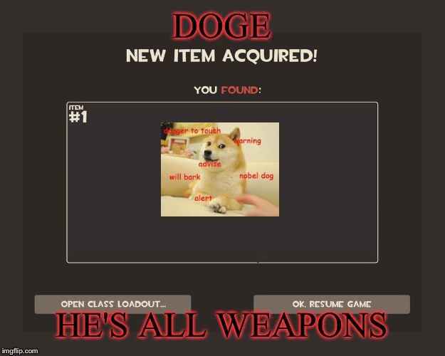 You got tf2 shit | DOGE; HE'S ALL WEAPONS | image tagged in you got tf2 shit | made w/ Imgflip meme maker