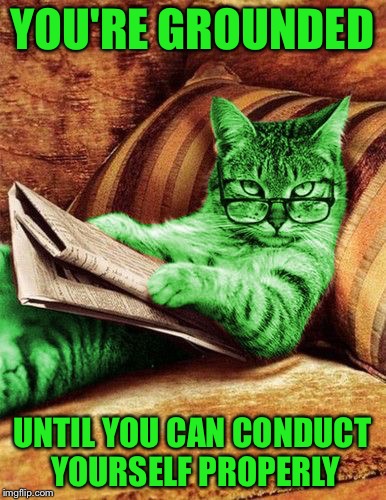 Factual RayCat | YOU'RE GROUNDED; UNTIL YOU CAN CONDUCT YOURSELF PROPERLY | image tagged in factual raycat,memes | made w/ Imgflip meme maker