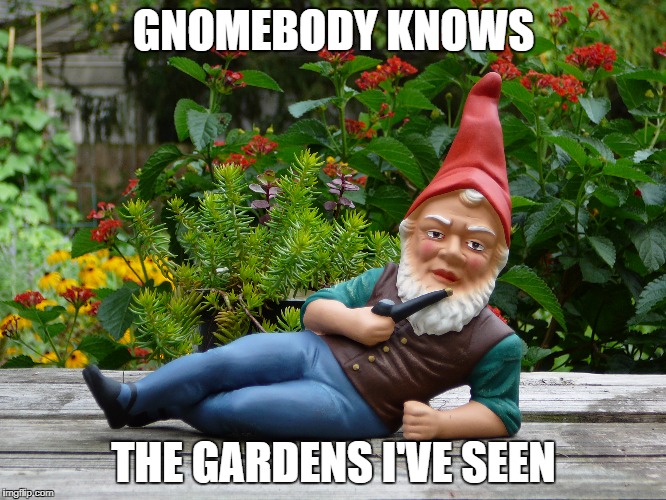 Gnomebody Knows His Sorrows | GNOMEBODY KNOWS; THE GARDENS I'VE SEEN | image tagged in gnome,garden,nobody knows | made w/ Imgflip meme maker