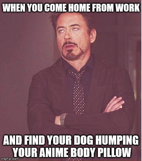 God damn it Sparky! Get your own f**king wifu! | WHEN YOU COME HOME FROM WORK; AND FIND YOUR DOG HUMPING YOUR ANIME BODY PILLOW | image tagged in memes,face you make robert downey jr,anime,animals | made w/ Imgflip meme maker