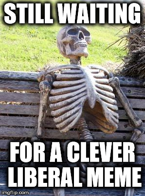 Waiting Skeleton Meme | STILL WAITING FOR A CLEVER LIBERAL MEME | image tagged in memes,waiting skeleton | made w/ Imgflip meme maker