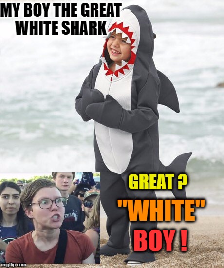 triggered by shark week  | MY BOY THE GREAT WHITE SHARK; GREAT ? "WHITE"; BOY ! | image tagged in great white shark,shark week,angry feminist,triggered,memes | made w/ Imgflip meme maker