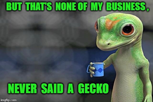 I just saved a ton of money by switching to DIY juice | BUT  THAT'S  NONE OF  MY  BUSINESS , NEVER  SAID  A  GECKO | image tagged in i just saved a ton of money by switching to diy juice | made w/ Imgflip meme maker
