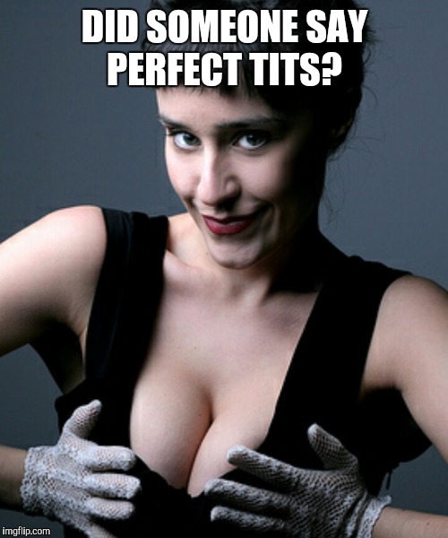 DID SOMEONE SAY PERFECT TITS? | made w/ Imgflip meme maker