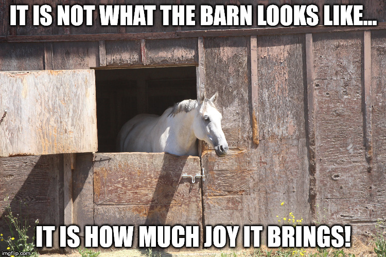 IT IS NOT WHAT THE BARN LOOKS LIKE... IT IS HOW MUCH JOY IT BRINGS! | image tagged in horse,barn,happiness | made w/ Imgflip meme maker