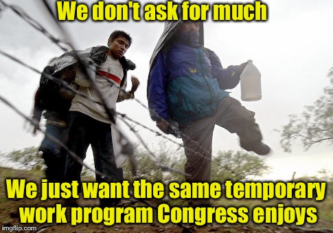"Migrant" Workers | We don't ask for much; We just want the same temporary work program Congress enjoys | image tagged in lillegal,illegal immigration,memes,congress,work | made w/ Imgflip meme maker