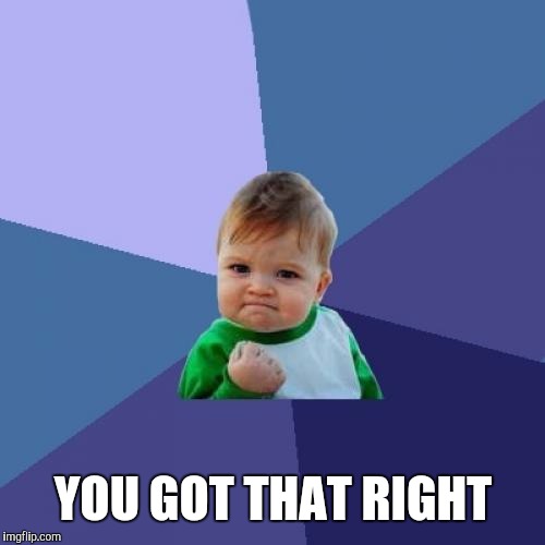 Success Kid Meme | YOU GOT THAT RIGHT | image tagged in memes,success kid | made w/ Imgflip meme maker