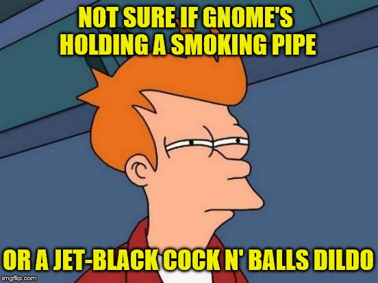 Futurama Fry Meme | NOT SURE IF GNOME'S HOLDING A SMOKING PIPE OR A JET-BLACK COCK N' BALLS D**DO | image tagged in memes,futurama fry | made w/ Imgflip meme maker