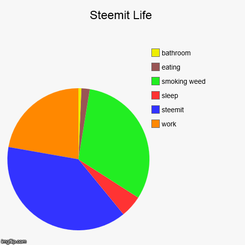 Steemit Life | work, steemit, sleep, smoking weed, eating, bathroom | image tagged in funny,pie charts | made w/ Imgflip chart maker