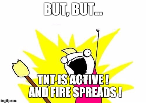 X All The Y Meme | BUT, BUT... TNT IS ACTIVE !  AND FIRE SPREADS ! | image tagged in memes,x all the y | made w/ Imgflip meme maker