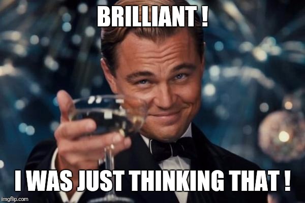 Leonardo Dicaprio Cheers Meme | BRILLIANT ! I WAS JUST THINKING THAT ! | image tagged in memes,leonardo dicaprio cheers | made w/ Imgflip meme maker