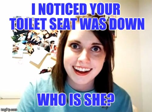 Overly Attached Girlfriend Meme | I NOTICED YOUR TOILET SEAT WAS DOWN; WHO IS SHE? | image tagged in memes,overly attached girlfriend | made w/ Imgflip meme maker