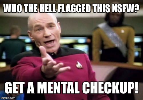 Picard Wtf Meme | WHO THE HELL FLAGGED THIS NSFW? GET A MENTAL CHECKUP! | image tagged in memes,picard wtf | made w/ Imgflip meme maker