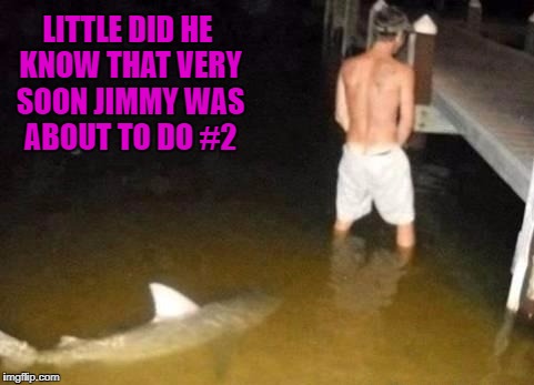 Nothing like a good scare to clean you out!!! Shark Week... A Raydog & Discovery Channel Event | LITTLE DID HE KNOW THAT VERY SOON JIMMY WAS ABOUT TO DO #2 | image tagged in shark surprise,memes,sharks,shark week,funny,animals | made w/ Imgflip meme maker