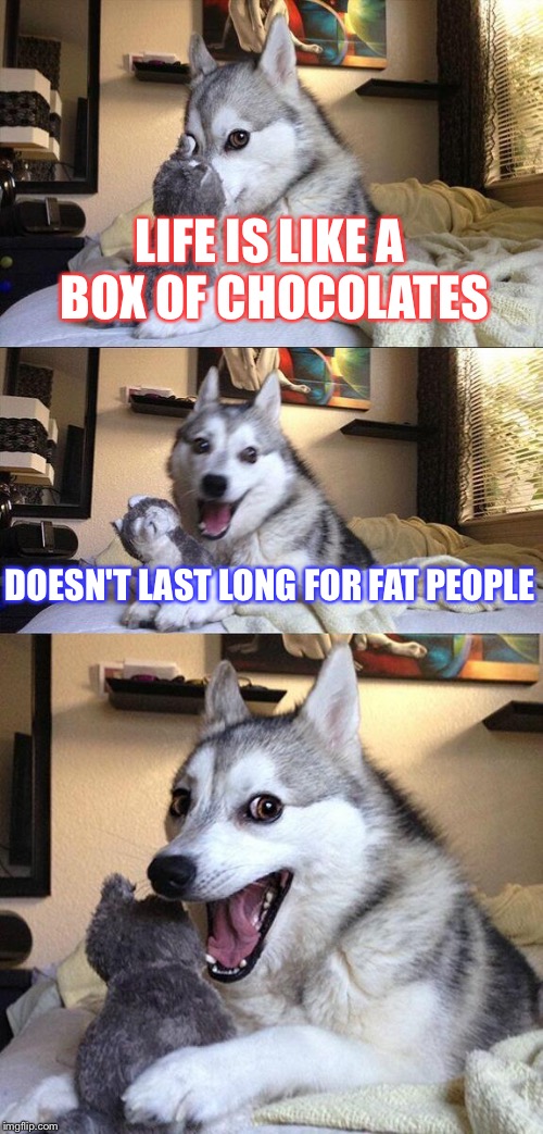 Bad Pun Dog | LIFE IS LIKE A BOX OF CHOCOLATES; DOESN'T LAST LONG FOR FAT PEOPLE | image tagged in memes,bad pun dog | made w/ Imgflip meme maker