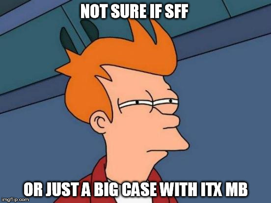 Futurama Fry Meme | NOT SURE IF SFF; OR JUST A BIG CASE WITH ITX MB | image tagged in memes,futurama fry | made w/ Imgflip meme maker