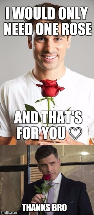 Australia Bachelor 2017 | I WOULD ONLY NEED ONE ROSE; AND THAT'S FOR YOU ♡; THANKS BRO | image tagged in memes,bachelor | made w/ Imgflip meme maker