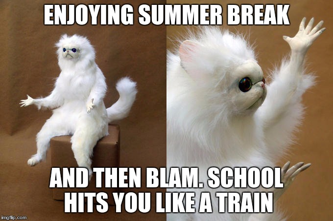 Persian Cat Room Guardian Meme | ENJOYING SUMMER BREAK; AND THEN BLAM. SCHOOL HITS YOU LIKE A TRAIN | image tagged in memes,persian cat room guardian | made w/ Imgflip meme maker