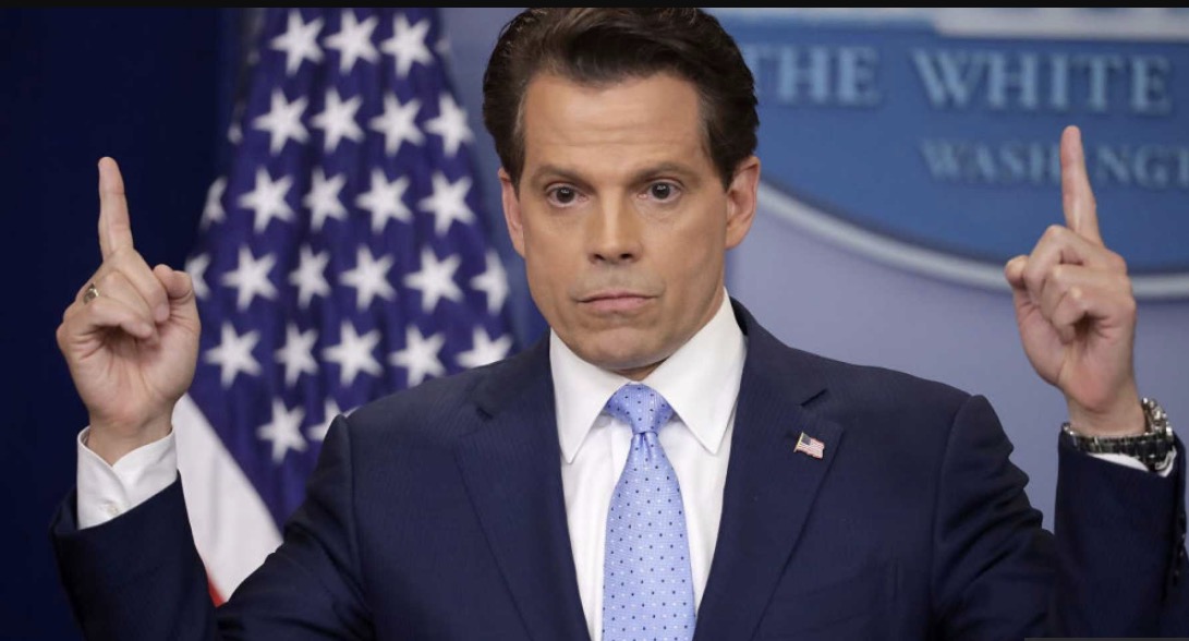 High Quality anthony scaramucci Blank Meme Template