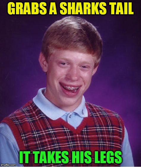 Bad Luck Brian Meme | GRABS A SHARKS TAIL IT TAKES HIS LEGS | image tagged in memes,bad luck brian | made w/ Imgflip meme maker