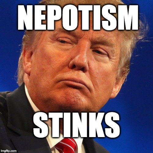 Nepotism stinks | NEPOTISM; STINKS | image tagged in trump,donald trump,potus45,republicans,maga | made w/ Imgflip meme maker