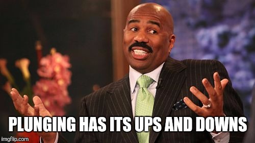 Steve Harvey Meme | PLUNGING HAS ITS UPS AND DOWNS | image tagged in memes,steve harvey | made w/ Imgflip meme maker
