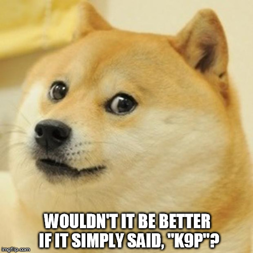 Doge Meme | WOULDN'T IT BE BETTER IF IT SIMPLY SAID, "K9P"? | image tagged in memes,doge | made w/ Imgflip meme maker