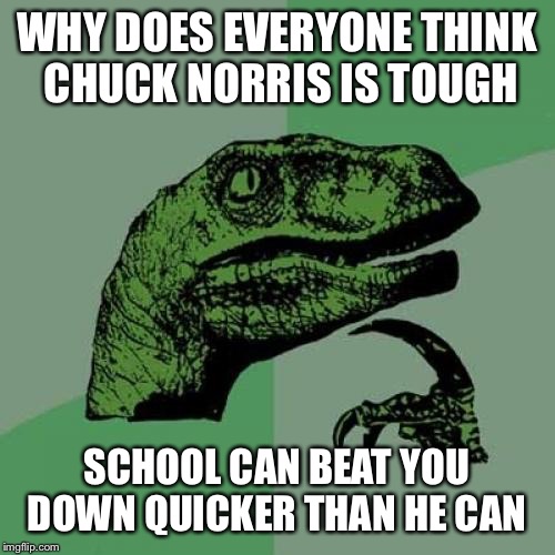 Philosoraptor Meme | WHY DOES EVERYONE THINK CHUCK NORRIS IS TOUGH; SCHOOL CAN BEAT YOU DOWN QUICKER THAN HE CAN | image tagged in memes,philosoraptor | made w/ Imgflip meme maker