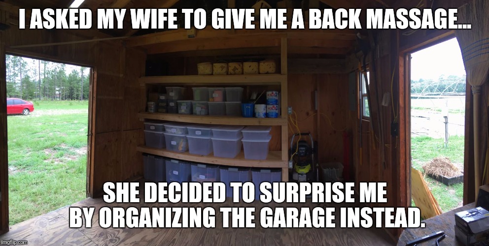 I ASKED MY WIFE TO GIVE ME A BACK MASSAGE... SHE DECIDED TO SURPRISE ME BY ORGANIZING THE GARAGE INSTEAD. | image tagged in real housewives | made w/ Imgflip meme maker