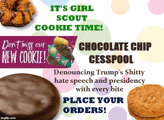 Girl Scouts - More Than Just a Cookie  | image tagged in donald trump,boy scouts,resist,president trump | made w/ Imgflip meme maker