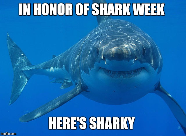great white shark  | IN HONOR OF SHARK WEEK; HERE'S SHARKY | image tagged in great white shark | made w/ Imgflip meme maker