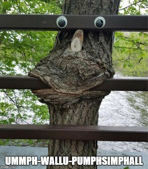 UMMPH-WALLU-PUMPHSIMPHALL | image tagged in tree | made w/ Imgflip meme maker