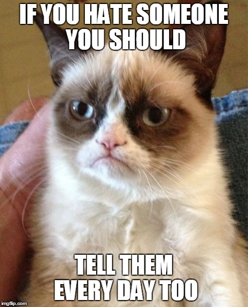 Grumpy Cat Meme | IF YOU HATE SOMEONE YOU SHOULD TELL THEM EVERY DAY TOO | image tagged in memes,grumpy cat | made w/ Imgflip meme maker