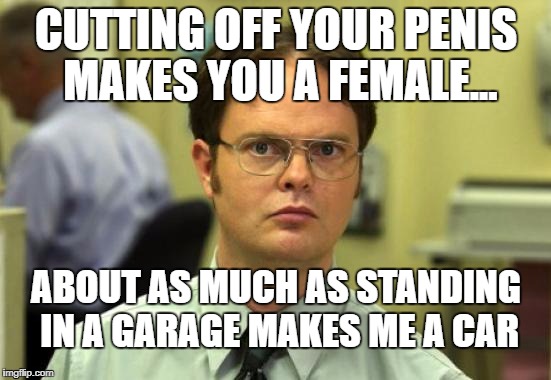 Dwight Schrute Meme | CUTTING OFF YOUR PENIS MAKES YOU A FEMALE... ABOUT AS MUCH AS STANDING IN A GARAGE MAKES ME A CAR | image tagged in memes,dwight schrute | made w/ Imgflip meme maker