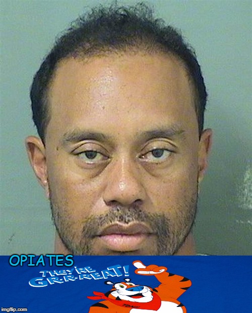 Tiger week....Weak Tiger | OPIATES | image tagged in tiger week | made w/ Imgflip meme maker