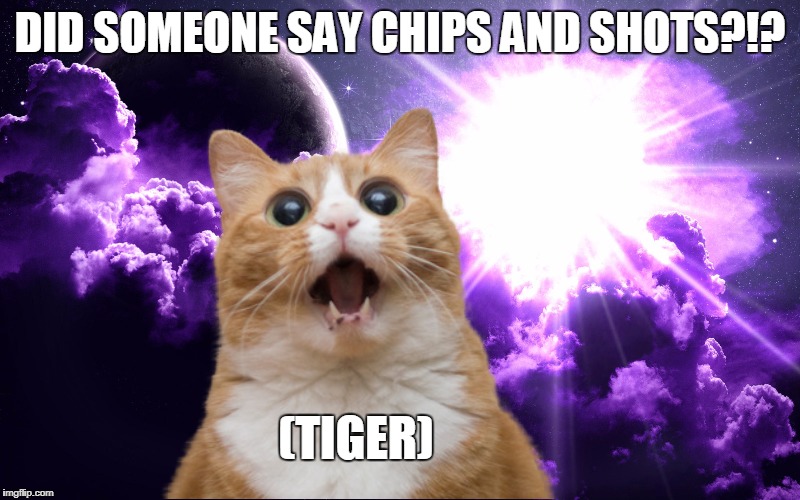 DID SOMEONE SAY CHIPS AND SHOTS?!? (TIGER) | made w/ Imgflip meme maker