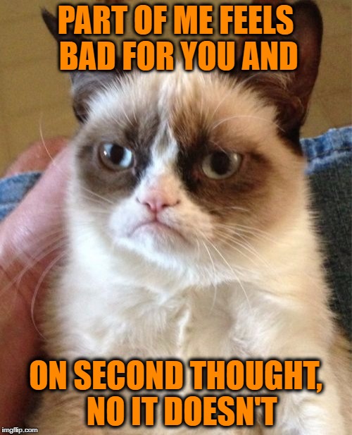 Grumpy Cat Meme | PART OF ME FEELS BAD FOR YOU AND ON SECOND THOUGHT,  NO IT DOESN'T | image tagged in memes,grumpy cat | made w/ Imgflip meme maker