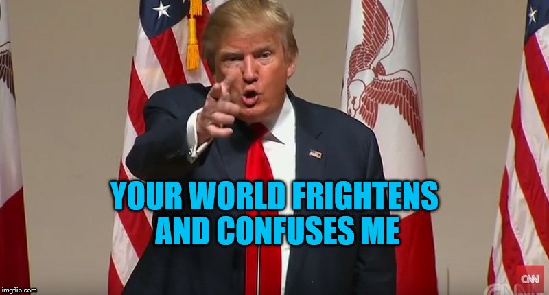 Trump Says Your World Frightens and Confuses Me | YOUR WORLD FRIGHTENS AND CONFUSES ME | image tagged in donald trump,funny memes,memes,political meme,your world frightens and confuses me | made w/ Imgflip meme maker