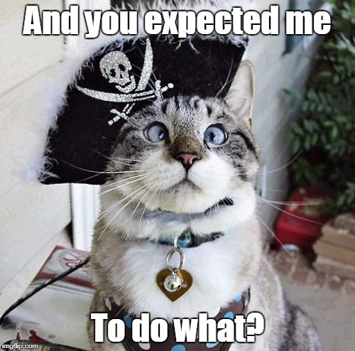 Spangles |  And you expected me; To do what? | image tagged in memes,spangles | made w/ Imgflip meme maker