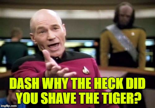 Picard Wtf Meme | DASH WHY THE HECK DID YOU SHAVE THE TIGER? | image tagged in memes,picard wtf | made w/ Imgflip meme maker