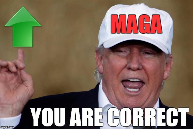 Donald Trump Blank MAGA Hat | MAGA YOU ARE CORRECT | image tagged in donald trump blank maga hat | made w/ Imgflip meme maker