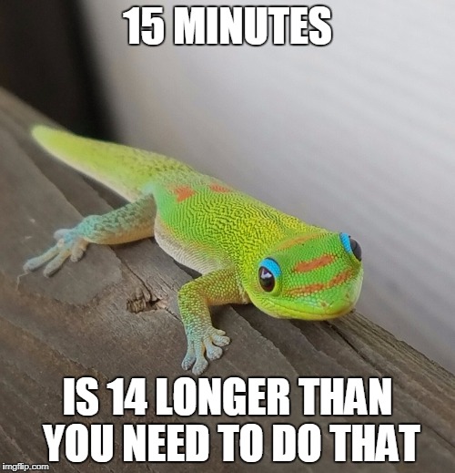 15 MINUTES; IS 14 LONGER THAN YOU NEED TO DO THAT | made w/ Imgflip meme maker